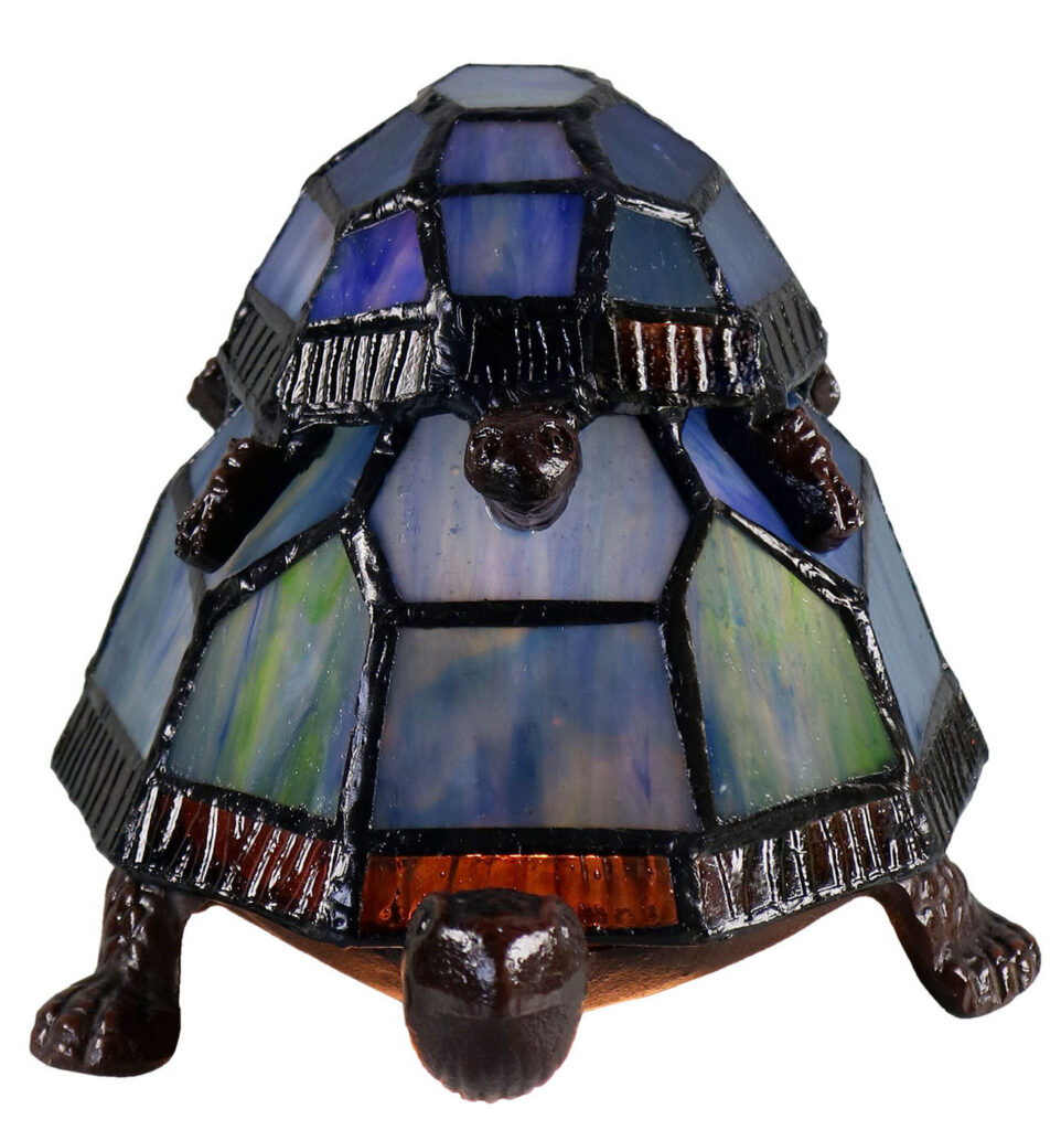 Piggybacking Turtle
